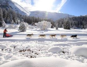 La Grande Odyssée : la course qui a du chien