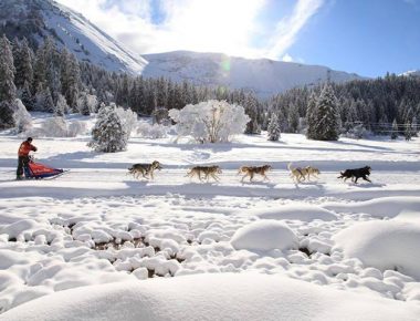 La Grande Odyssée : la course qui a du chien