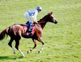 Journée d’exception au Prix de l’Arc de Triomphe