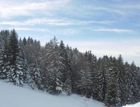 Survie par -10° dans le Jura