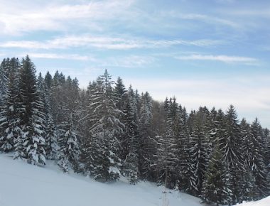 Survie par -10° dans le Jura