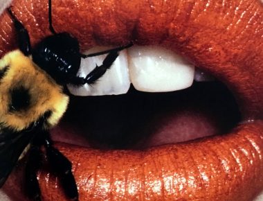 Exposition : Irving Penn, la mise rigoureuse