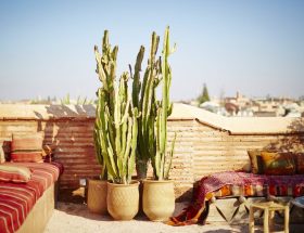 Pourquoi on veut bien retourner à Marrakech