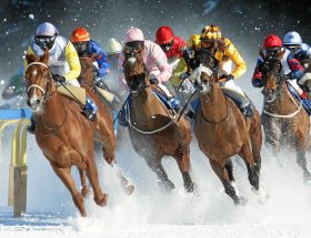 Chevaux sur glace : à la découverte du White Turf à Saint Moritz