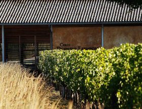 Château Marjosse, le Bordeaux qui a tout d’un grand