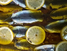 Très bonne pêche (responsable) à la Reine Mer