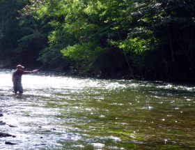 Tenkara : la philosophie japonaise du Ma, version pêche à la mouche