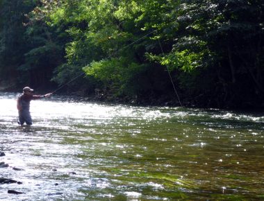 Tenkara : la philosophie japonaise du Ma, version pêche à la mouche