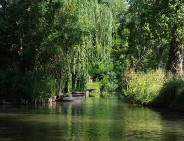 Poitou : voyage en terres (trop) méconnues