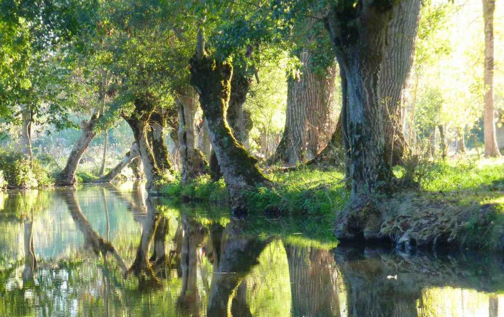 marais poitevin