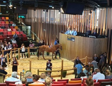 A Deauville, dans les coulisses des premières ventes de pur-sang de la saison