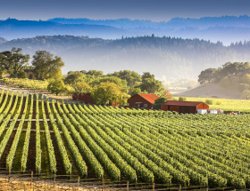 Californication ! Six vins californiens pour l’été