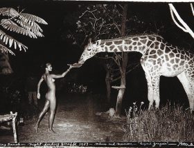 Going wild, Peter Beard