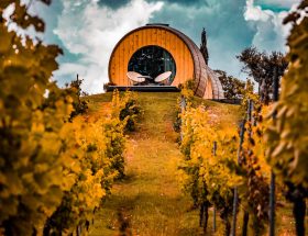 Douro, pays où le noir est couleur : à la découverte du vin de Porto