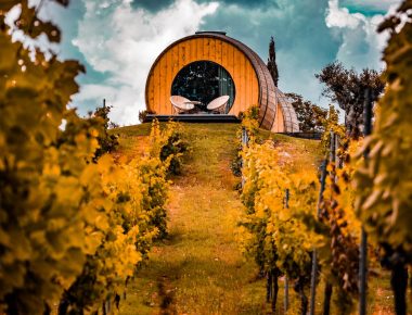 Douro, pays où le noir est couleur : à la découverte du vin de Porto