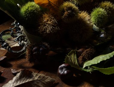 En Corse, une cuisine d’automne épineuse