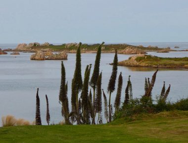 Un week-end à Bréhat