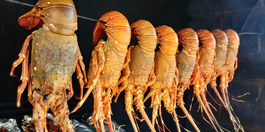 caraibes-lobster-3