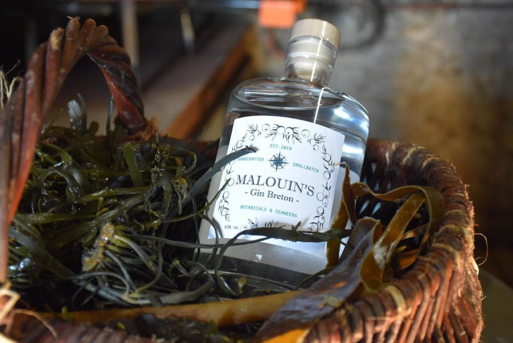 malouins-gin