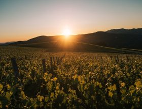 Un week-end à Vienne