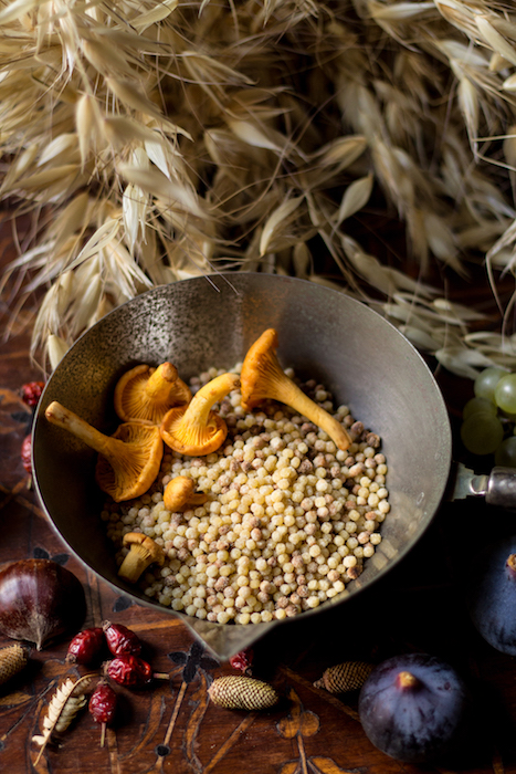 Saison de Champignons + Ceinture réfléchissante orange - Saison de Passionné