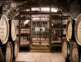 Dans les coulisses de la vente des vins des Hospices de Beaune