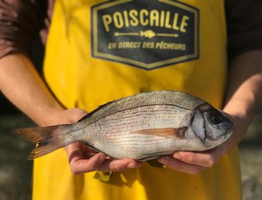 Casiers Poiscaille