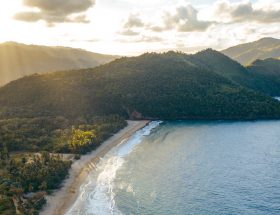 Ocoa bay, le seul vignoble des Caraïbes