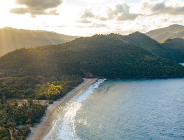 Ocoa bay, le seul vignoble des Caraïbes