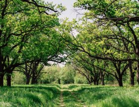 Que faire au printemps ?