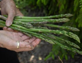 Quels aliments cuisiner entre deux saisons ?