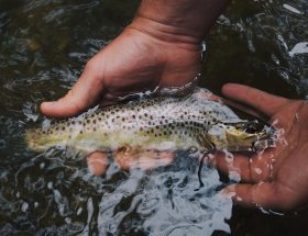 Un week-end à la pêche, mode d’emploi