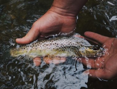 Un week-end à la pêche, mode d’emploi