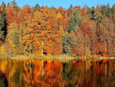 Nos bonnes adresses dans le Jura suisse