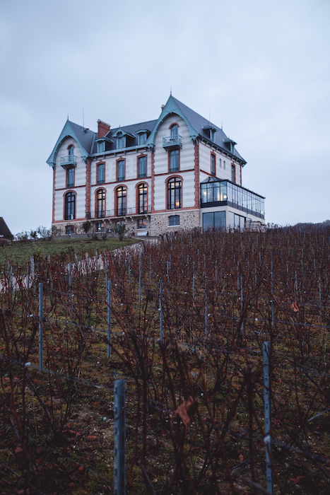 andy-bouglé-chateau-sacy-les-hardis-1