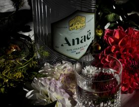 Dégustation : Anaë, le gin français version Bollinger