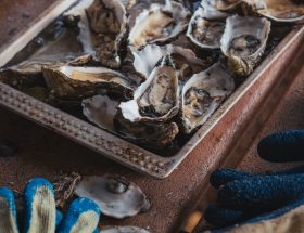 Île d’Aix : les meilleures huîtres sont sauvages