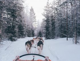 Les Hardis au ski