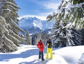 Les Hardis au ski 