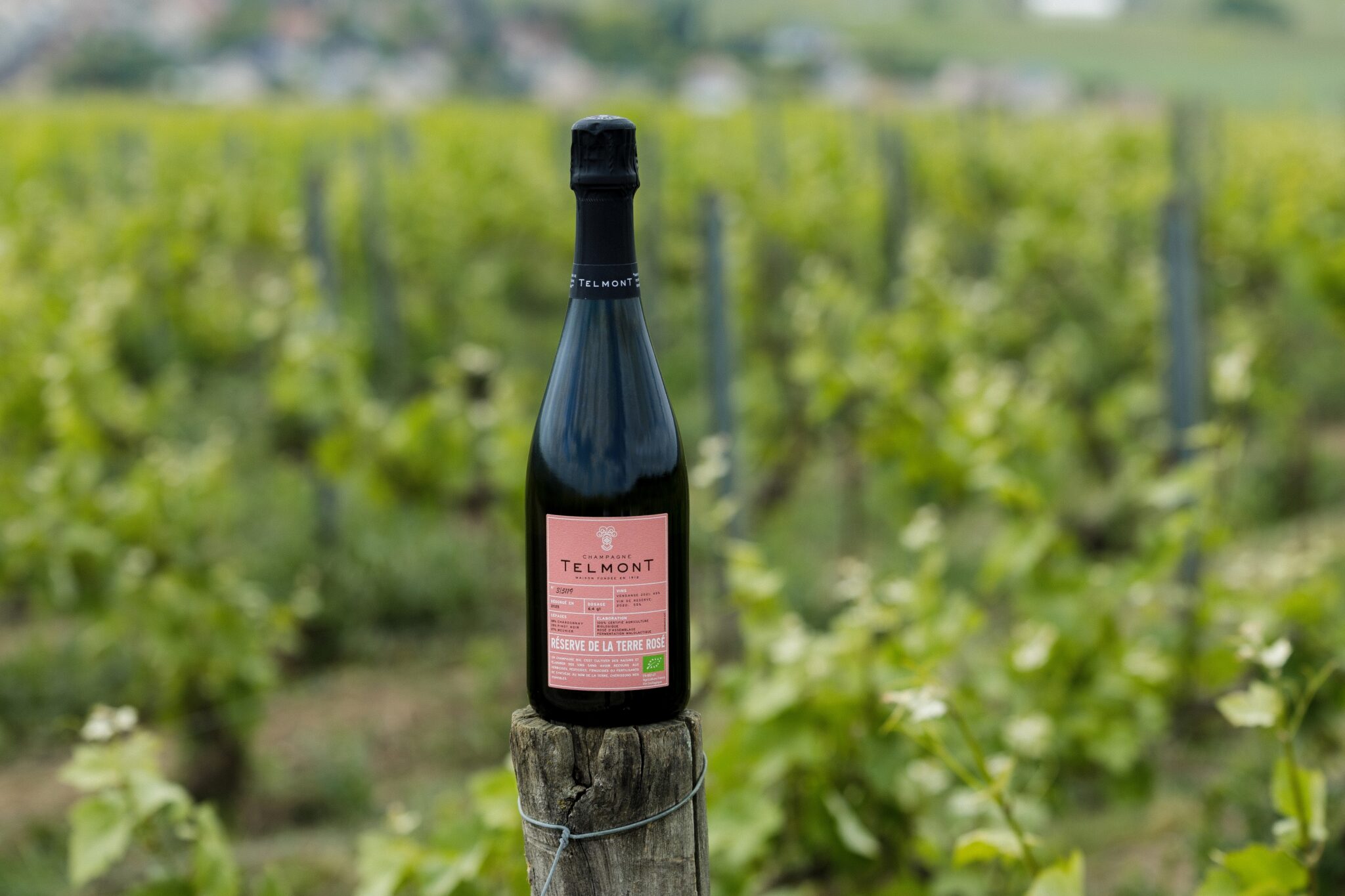 Telmont Réserve de la Terre Rosé Bio © DR