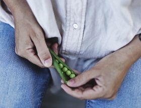 La folle histoire du petit pois