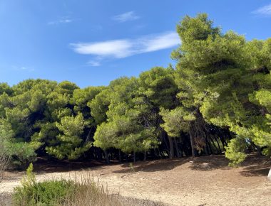 Prolonger l’été par une escapade dans les Pouilles – 1/3