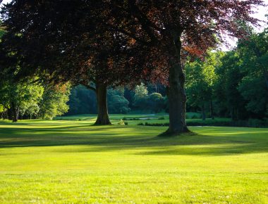 Les six parcours de golf autour de Paris