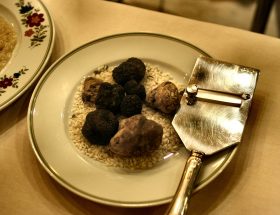 Caver la truffe dans la Drôme