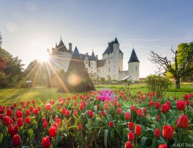 Au Château du Rivau, plaisir des yeux et des papilles