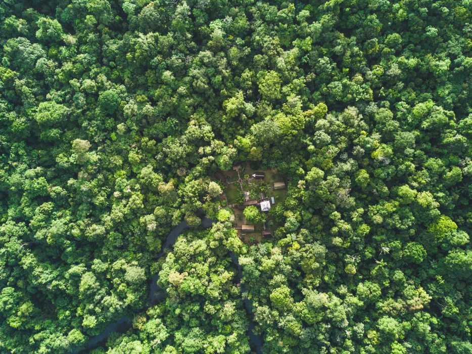 Tourisme - En images. Guyane française : la destination idéale pour les  amoureux de la nature !