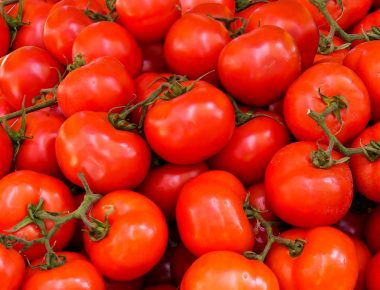 Notre sélection des meilleures tomates