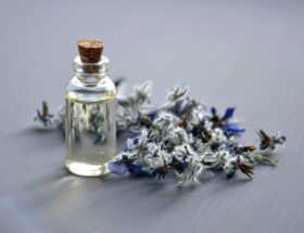 5 parfums pour amateurs de sillages capiteux et épicés