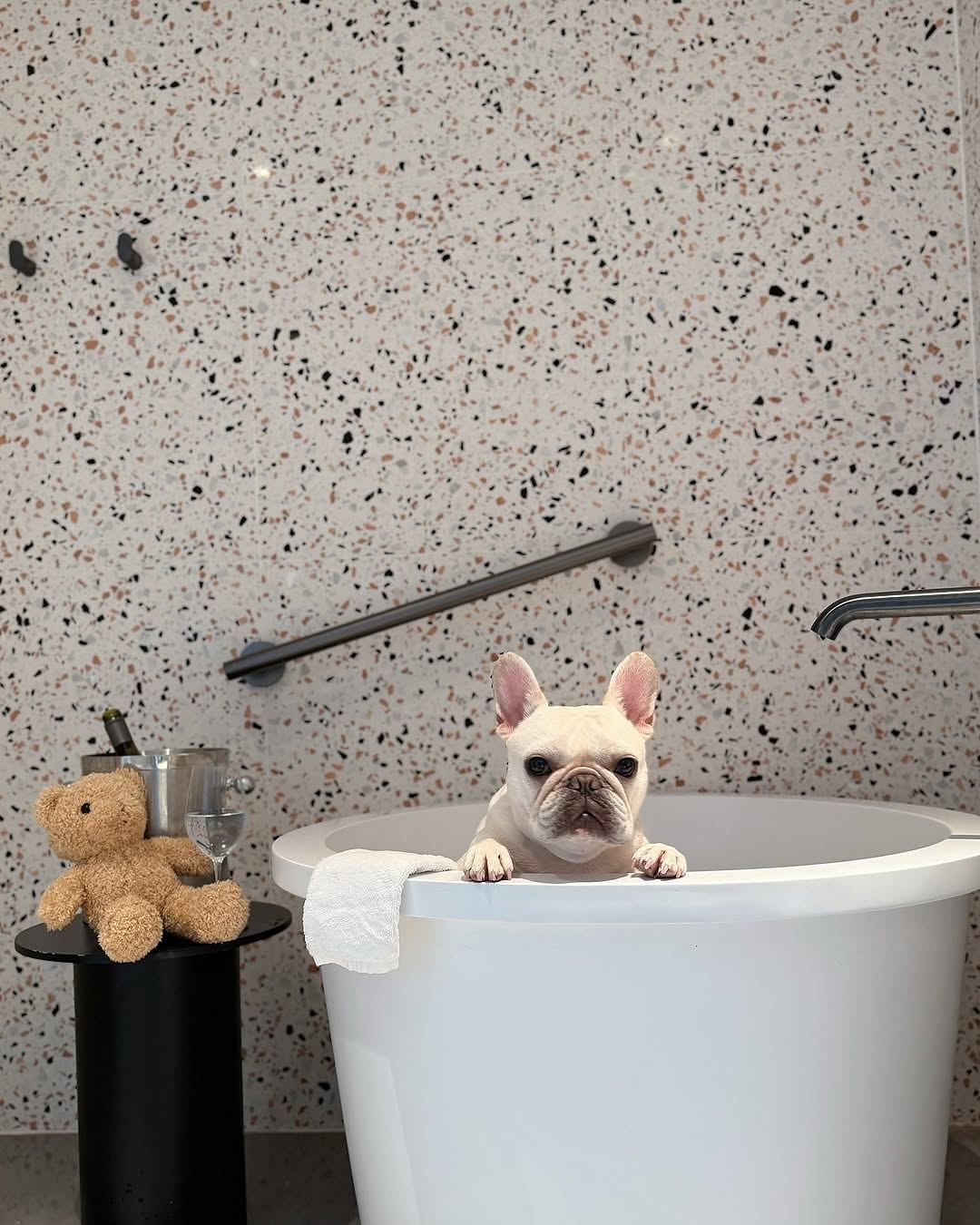 Un moment à partager avec son animal au © Arca hotel