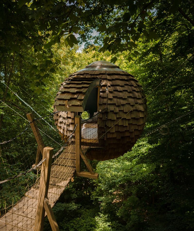 © Cabane des Grands Chênes 